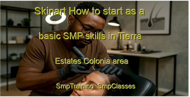 Skinart How to start as a basic SMP skills in Tierra Estates Colonia area | SmpTraining | SmpClasses | SkinartTraining-United States