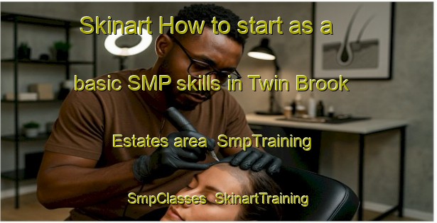 Skinart How to start as a basic SMP skills in Twin Brook Estates area | SmpTraining | SmpClasses | SkinartTraining-United States
