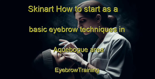 Skinart How to start as a basic eyebrow techniques in Aquebogue area | EyebrowTraining | EyebrowClasses | SkinartTraining-United States