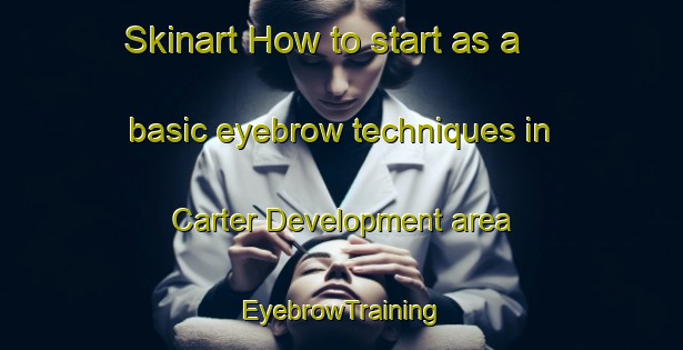 Skinart How to start as a basic eyebrow techniques in Carter Development area | EyebrowTraining | EyebrowClasses | SkinartTraining-United States