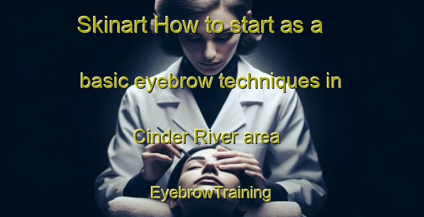 Skinart How to start as a basic eyebrow techniques in Cinder River area | EyebrowTraining | EyebrowClasses | SkinartTraining-United States