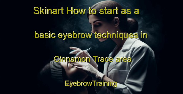Skinart How to start as a basic eyebrow techniques in Cinnamon Trace area | EyebrowTraining | EyebrowClasses | SkinartTraining-United States