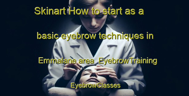 Skinart How to start as a basic eyebrow techniques in Emmalane area | EyebrowTraining | EyebrowClasses | SkinartTraining-United States