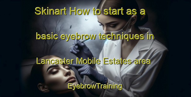 Skinart How to start as a basic eyebrow techniques in Lancaster Mobile Estates area | EyebrowTraining | EyebrowClasses | SkinartTraining-United States