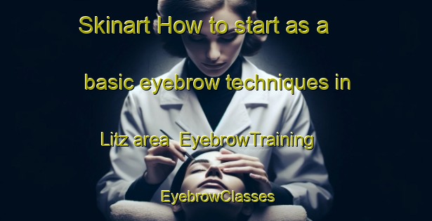 Skinart How to start as a basic eyebrow techniques in Litz area | EyebrowTraining | EyebrowClasses | SkinartTraining-United States