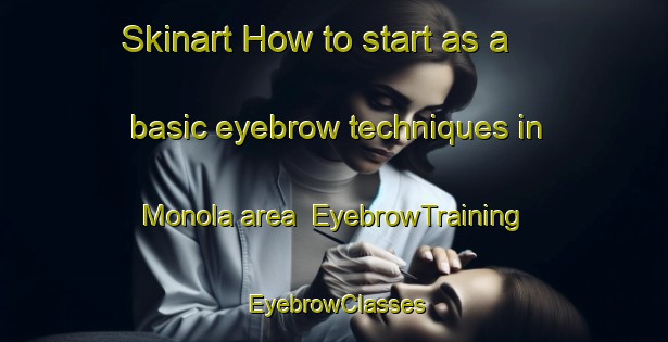Skinart How to start as a basic eyebrow techniques in Monola area | EyebrowTraining | EyebrowClasses | SkinartTraining-United States