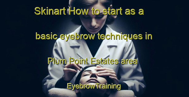 Skinart How to start as a basic eyebrow techniques in Plum Point Estates area | EyebrowTraining | EyebrowClasses | SkinartTraining-United States