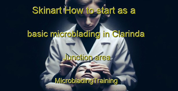 Skinart How to start as a basic microblading in Clarinda Junction area | MicrobladingTraining | MicrobladingClasses | SkinartTraining-United States