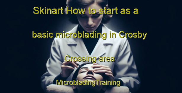 Skinart How to start as a basic microblading in Crosby Crossing area | MicrobladingTraining | MicrobladingClasses | SkinartTraining-United States