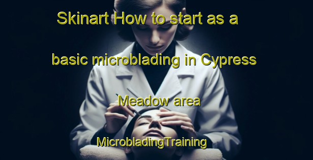 Skinart How to start as a basic microblading in Cypress Meadow area | MicrobladingTraining | MicrobladingClasses | SkinartTraining-United States
