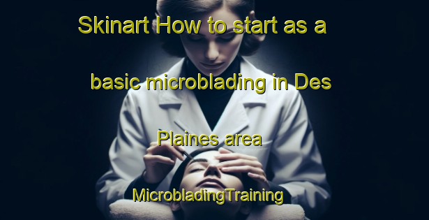 Skinart How to start as a basic microblading in Des Plaines area | MicrobladingTraining | MicrobladingClasses | SkinartTraining-United States