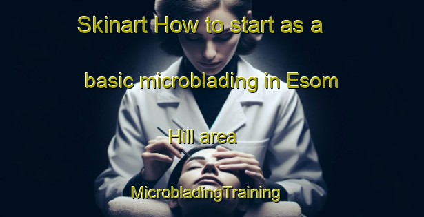 Skinart How to start as a basic microblading in Esom Hill area | MicrobladingTraining | MicrobladingClasses | SkinartTraining-United States