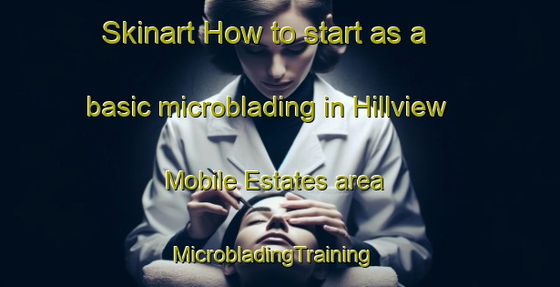 Skinart How to start as a basic microblading in Hillview Mobile Estates area | MicrobladingTraining | MicrobladingClasses | SkinartTraining-United States