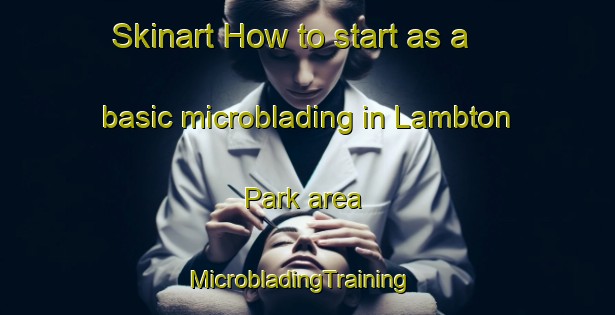 Skinart How to start as a basic microblading in Lambton Park area | MicrobladingTraining | MicrobladingClasses | SkinartTraining-United States