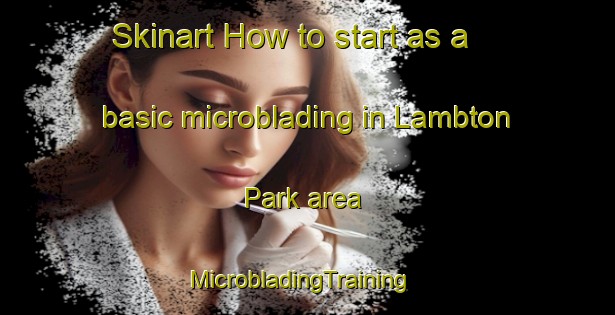 Skinart How to start as a basic microblading in Lambton Park area | MicrobladingTraining | MicrobladingClasses | SkinartTraining-United States