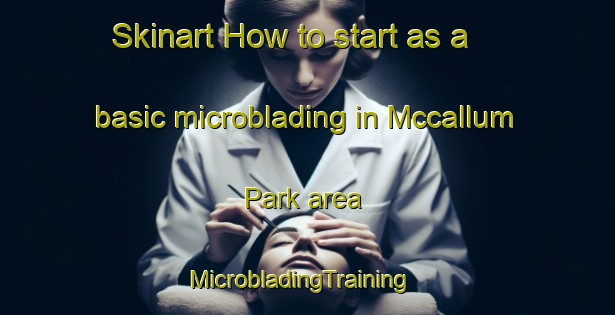 Skinart How to start as a basic microblading in Mccallum Park area | MicrobladingTraining | MicrobladingClasses | SkinartTraining-United States
