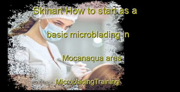 Skinart How to start as a basic microblading in Mocanaqua area | MicrobladingTraining | MicrobladingClasses | SkinartTraining-United States