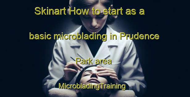 Skinart How to start as a basic microblading in Prudence Park area | MicrobladingTraining | MicrobladingClasses | SkinartTraining-United States