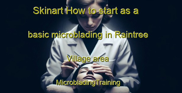 Skinart How to start as a basic microblading in Raintree Village area | MicrobladingTraining | MicrobladingClasses | SkinartTraining-United States