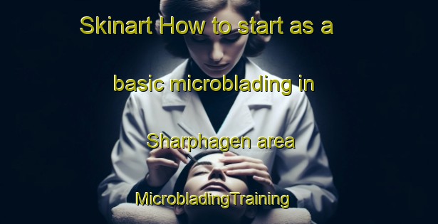 Skinart How to start as a basic microblading in Sharphagen area | MicrobladingTraining | MicrobladingClasses | SkinartTraining-United States