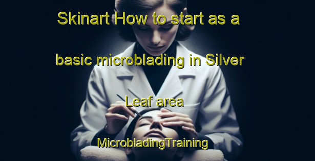 Skinart How to start as a basic microblading in Silver Leaf area | MicrobladingTraining | MicrobladingClasses | SkinartTraining-United States