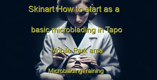 Skinart How to start as a basic microblading in Tapo Mobile Park area | MicrobladingTraining | MicrobladingClasses | SkinartTraining-United States