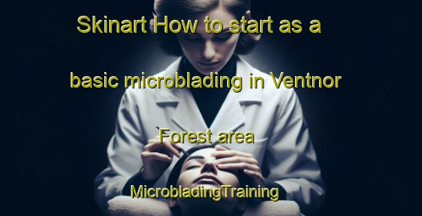 Skinart How to start as a basic microblading in Ventnor Forest area | MicrobladingTraining | MicrobladingClasses | SkinartTraining-United States