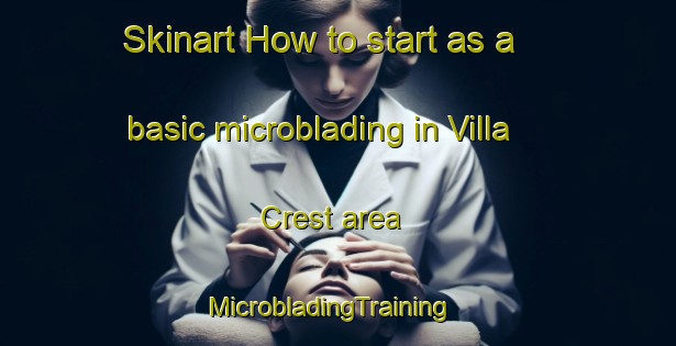 Skinart How to start as a basic microblading in Villa Crest area | MicrobladingTraining | MicrobladingClasses | SkinartTraining-United States