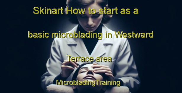 Skinart How to start as a basic microblading in Westward Terrace area | MicrobladingTraining | MicrobladingClasses | SkinartTraining-United States