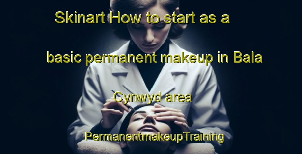 Skinart How to start as a basic permanent makeup in Bala Cynwyd area | PermanentmakeupTraining | PermanentmakeupClasses | SkinartTraining-United States