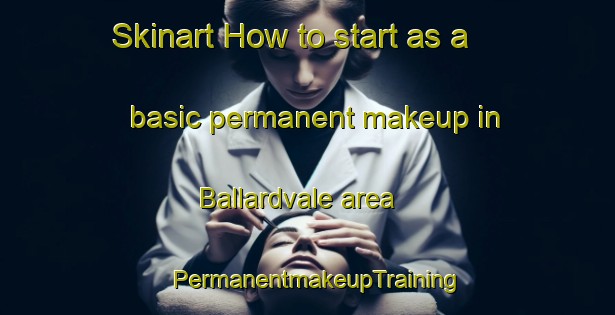 Skinart How to start as a basic permanent makeup in Ballardvale area | PermanentmakeupTraining | PermanentmakeupClasses | SkinartTraining-United States