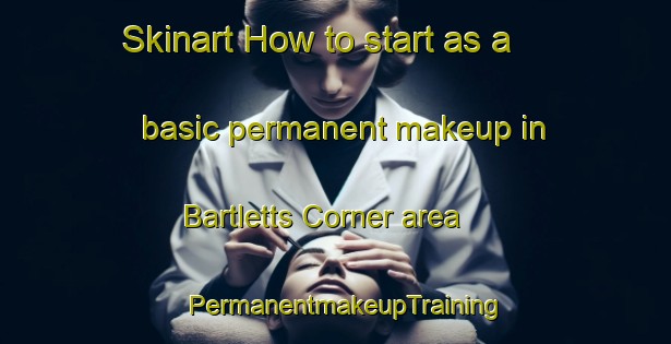 Skinart How to start as a basic permanent makeup in Bartletts Corner area | PermanentmakeupTraining | PermanentmakeupClasses | SkinartTraining-United States