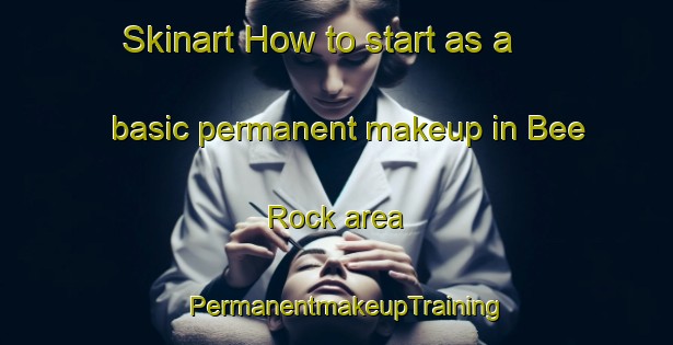 Skinart How to start as a basic permanent makeup in Bee Rock area | PermanentmakeupTraining | PermanentmakeupClasses | SkinartTraining-United States