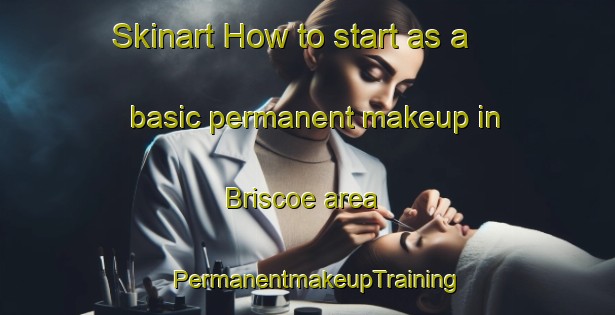 Skinart How to start as a basic permanent makeup in Briscoe area | PermanentmakeupTraining | PermanentmakeupClasses | SkinartTraining-United States