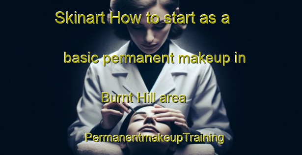 Skinart How to start as a basic permanent makeup in Burnt Hill area | PermanentmakeupTraining | PermanentmakeupClasses | SkinartTraining-United States