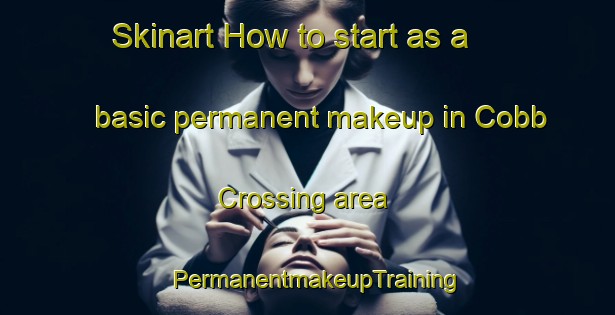 Skinart How to start as a basic permanent makeup in Cobb Crossing area | PermanentmakeupTraining | PermanentmakeupClasses | SkinartTraining-United States