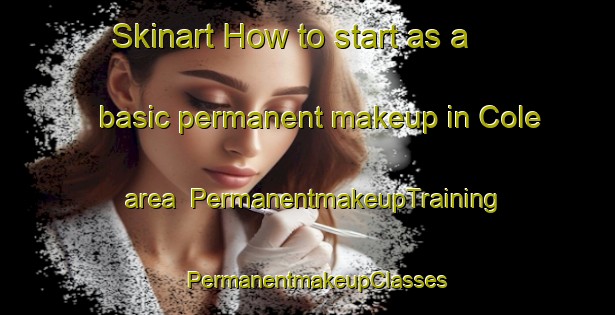 Skinart How to start as a basic permanent makeup in Cole area | PermanentmakeupTraining | PermanentmakeupClasses | SkinartTraining-United States