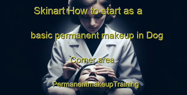 Skinart How to start as a basic permanent makeup in Dog Corner area | PermanentmakeupTraining | PermanentmakeupClasses | SkinartTraining-United States