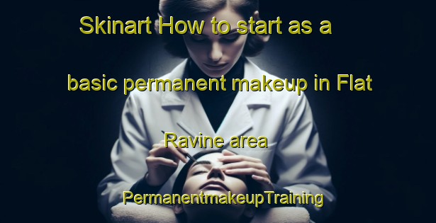 Skinart How to start as a basic permanent makeup in Flat Ravine area | PermanentmakeupTraining | PermanentmakeupClasses | SkinartTraining-United States