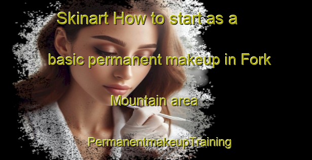 Skinart How to start as a basic permanent makeup in Fork Mountain area | PermanentmakeupTraining | PermanentmakeupClasses | SkinartTraining-United States
