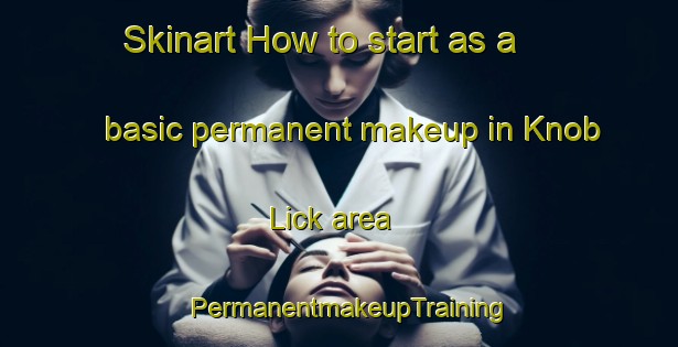 Skinart How to start as a basic permanent makeup in Knob Lick area | PermanentmakeupTraining | PermanentmakeupClasses | SkinartTraining-United States