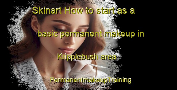 Skinart How to start as a basic permanent makeup in Kripplebush area | PermanentmakeupTraining | PermanentmakeupClasses | SkinartTraining-United States