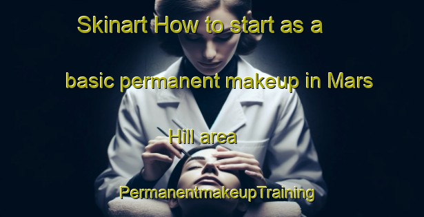 Skinart How to start as a basic permanent makeup in Mars Hill area | PermanentmakeupTraining | PermanentmakeupClasses | SkinartTraining-United States