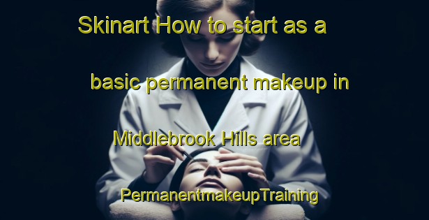 Skinart How to start as a basic permanent makeup in Middlebrook Hills area | PermanentmakeupTraining | PermanentmakeupClasses | SkinartTraining-United States