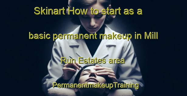 Skinart How to start as a basic permanent makeup in Mill Run Estates area | PermanentmakeupTraining | PermanentmakeupClasses | SkinartTraining-United States