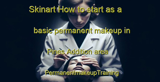 Skinart How to start as a basic permanent makeup in Pines Addition area | PermanentmakeupTraining | PermanentmakeupClasses | SkinartTraining-United States