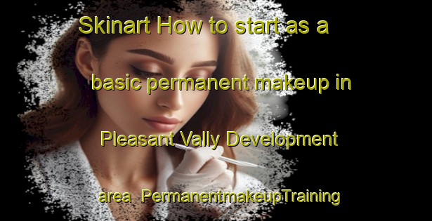 Skinart How to start as a basic permanent makeup in Pleasant Vally Development area | PermanentmakeupTraining | PermanentmakeupClasses | SkinartTraining-United States