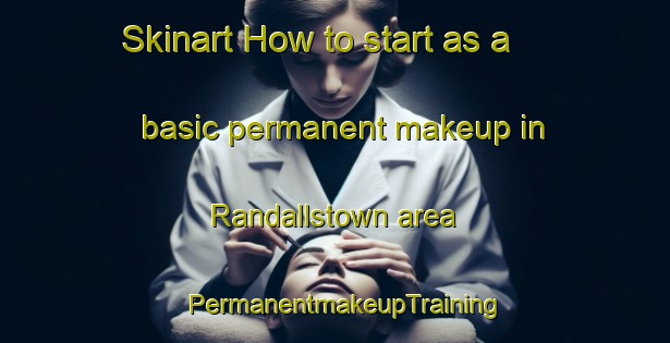 Skinart How to start as a basic permanent makeup in Randallstown area | PermanentmakeupTraining | PermanentmakeupClasses | SkinartTraining-United States