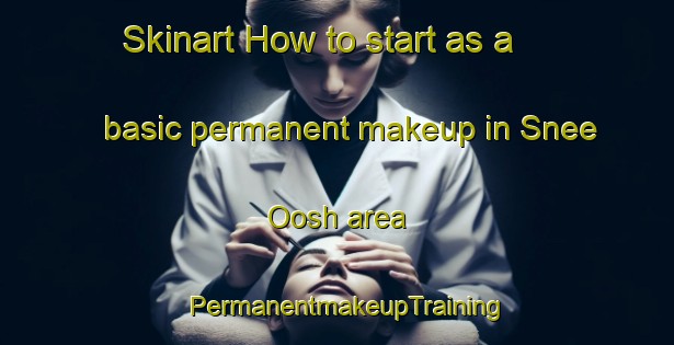 Skinart How to start as a basic permanent makeup in Snee Oosh area | PermanentmakeupTraining | PermanentmakeupClasses | SkinartTraining-United States