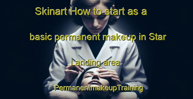 Skinart How to start as a basic permanent makeup in Star Landing area | PermanentmakeupTraining | PermanentmakeupClasses | SkinartTraining-United States